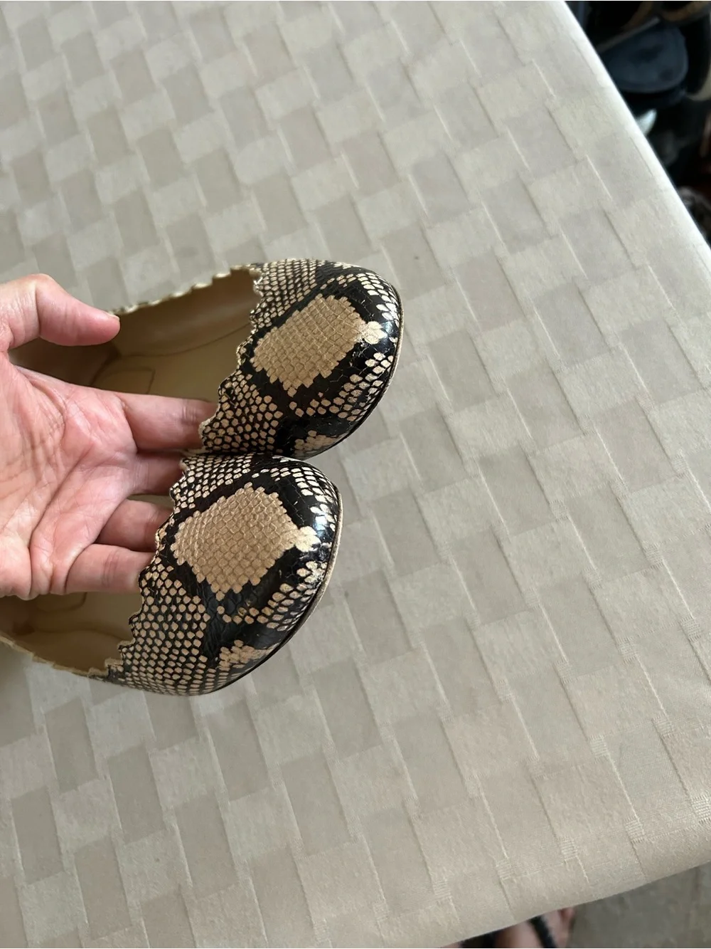 Chloe Lauren Python Embossed Scalloped Leather Ballet Flats